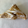 Apple Turnover