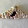 Cherry Turnover