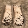 Cannoli with Choc Chips