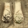 Cannoli (1 chocolate chips ,1 pistachios)
