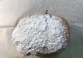 custard bismark with powder sugar on the top 
