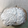 custard bismark with powder sugar on the top 