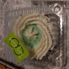 Keylime w/c Pie 9inch