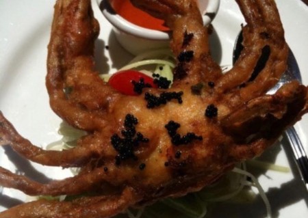 menu-dish