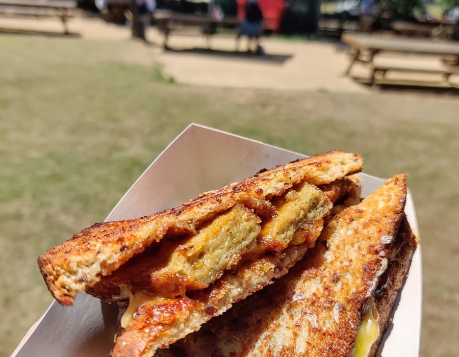 Go Vegan San Antonio near San Antonio