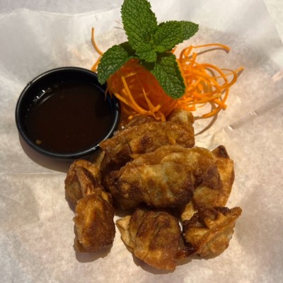 Crispy Chicken Wontons