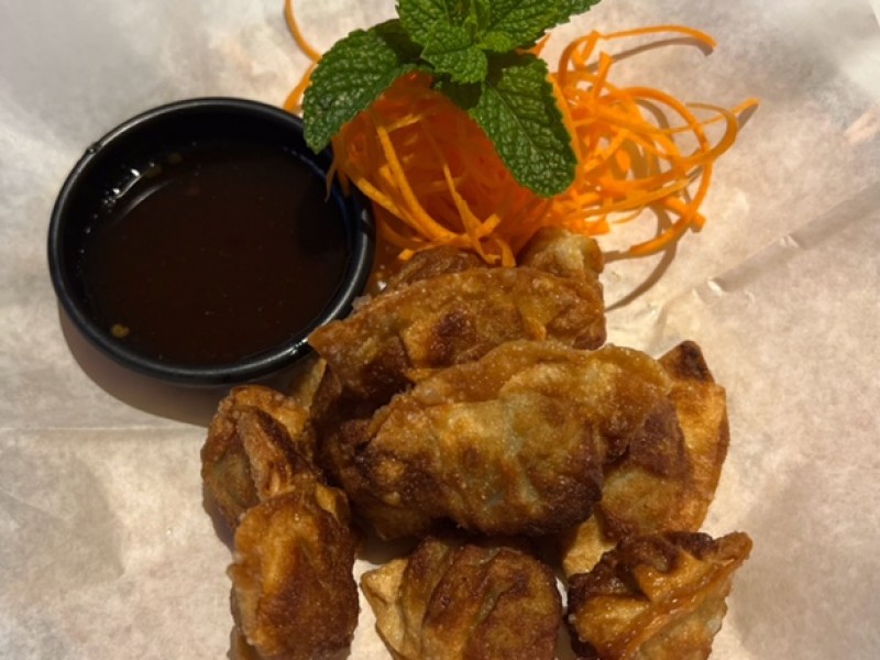 Crispy Chicken Wontons