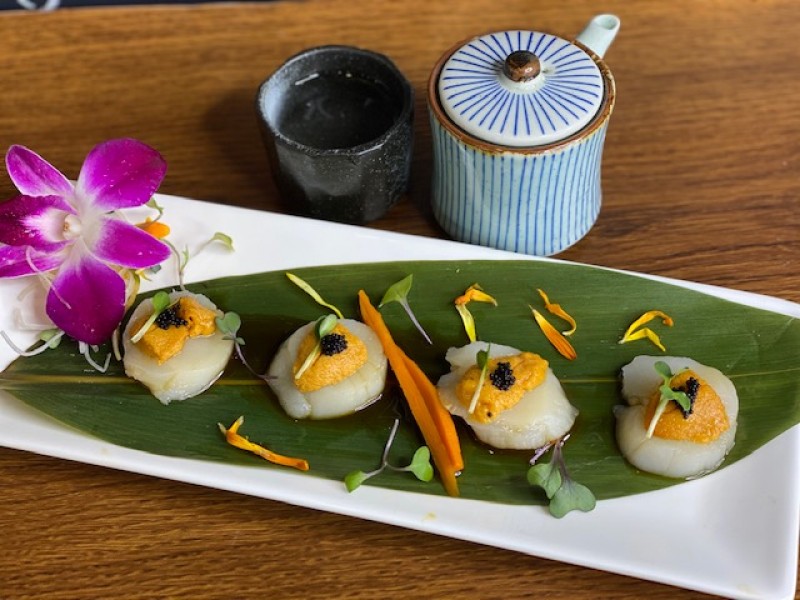 Hotate De Uni