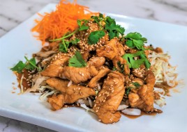 (E13) Terriyaki Chicken