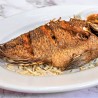 (P9) Tilapia
