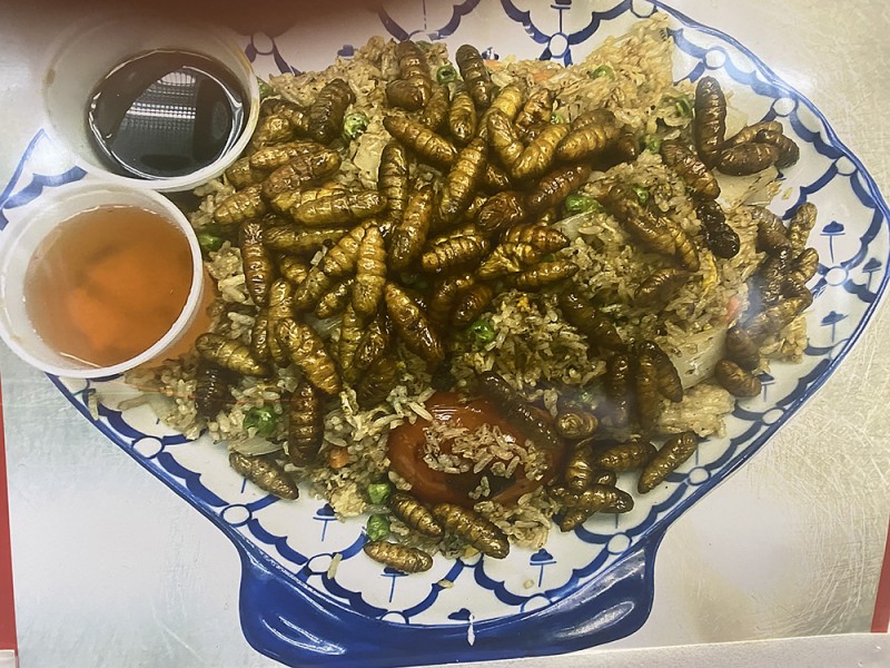 123 SILKWORM