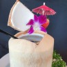 Fresh Coconut Juice
