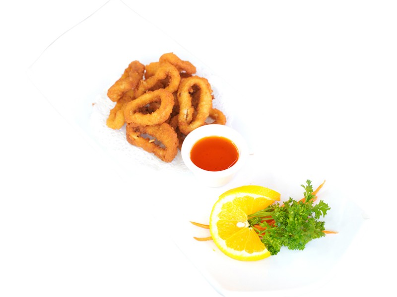 Calamari Delight (10)