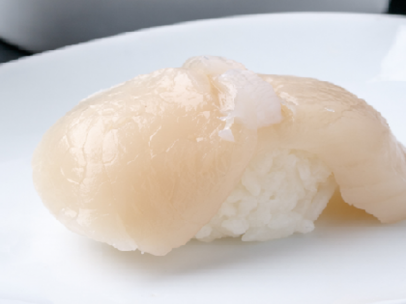 Scallop(HH)
