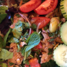 BEEF SALAD (YUM NAU)