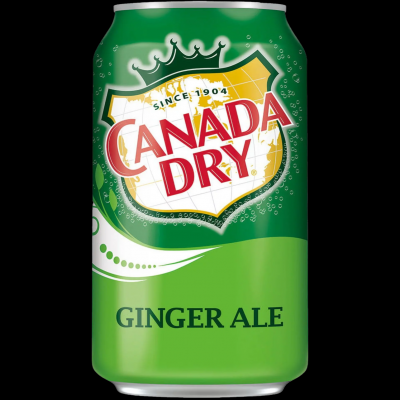 Ginger Ale (can)