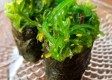 65. Seaweed Sushi