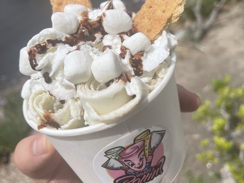 S'mores Delight