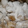 Basket of Fried Dough Nuggets