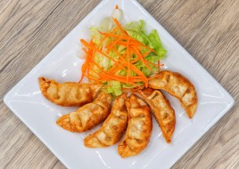 VEGETABLE GYOZA