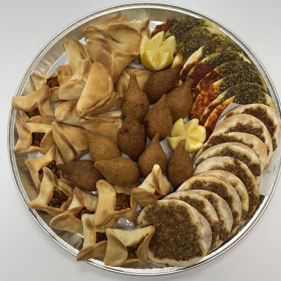 Vegetarian Large Platter (lent ) 